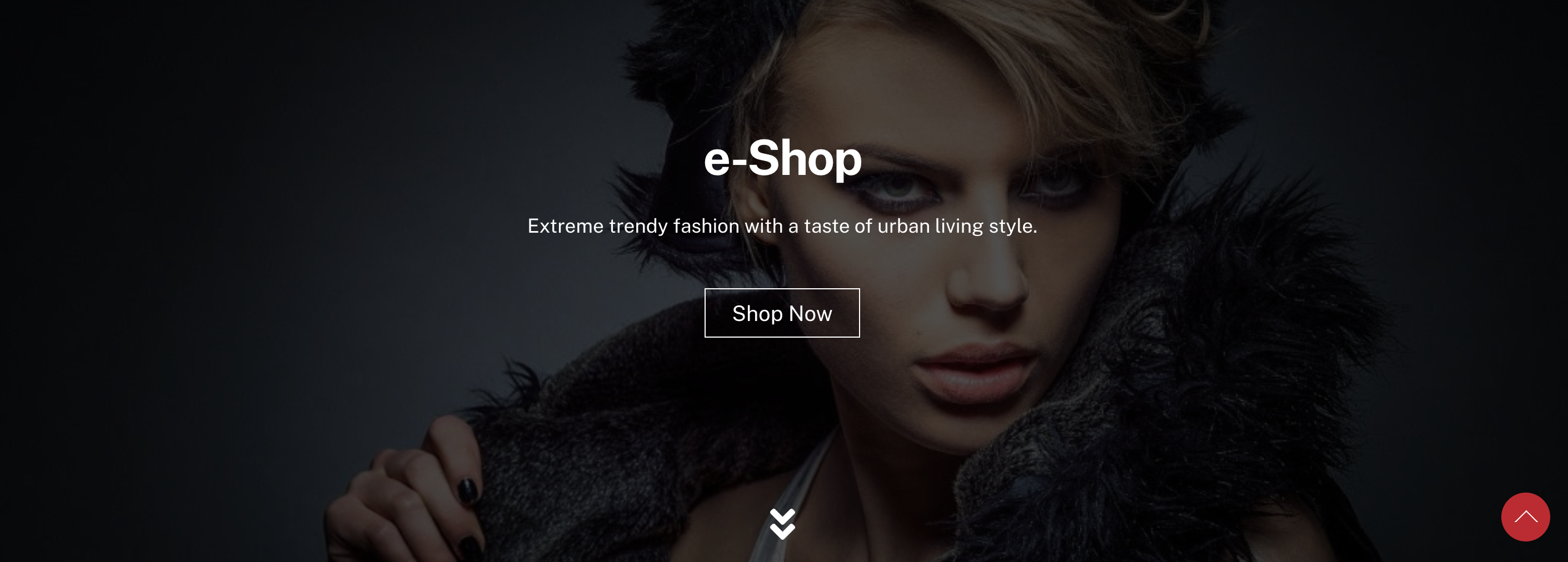 Product Page Product Page